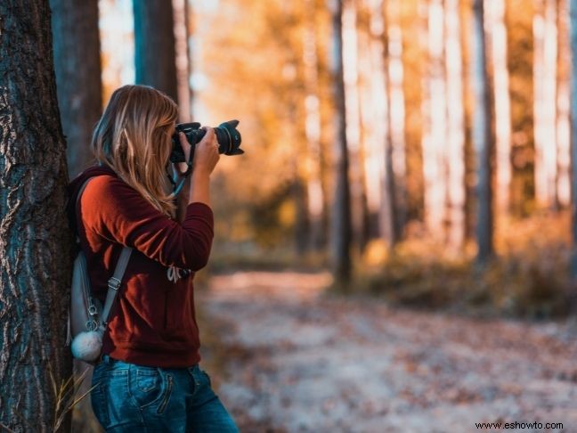 6 aspectos a tener en cuenta al capturar momentos impresionantes en la naturaleza 