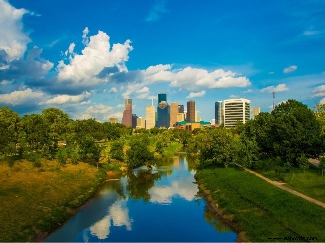 Las mejores cosas para hacer con niños en Houston