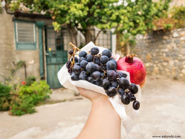 Viaja sano con estos 5 consejos