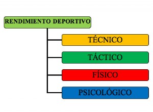 Psicología Deportiva: Guía Completa sobre su Definición, Historia y Beneficios para Atletas