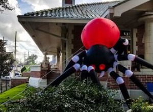 ¿Por qué nos aterrorizan tanto las arañas y serpientes? La ciencia del miedo explica